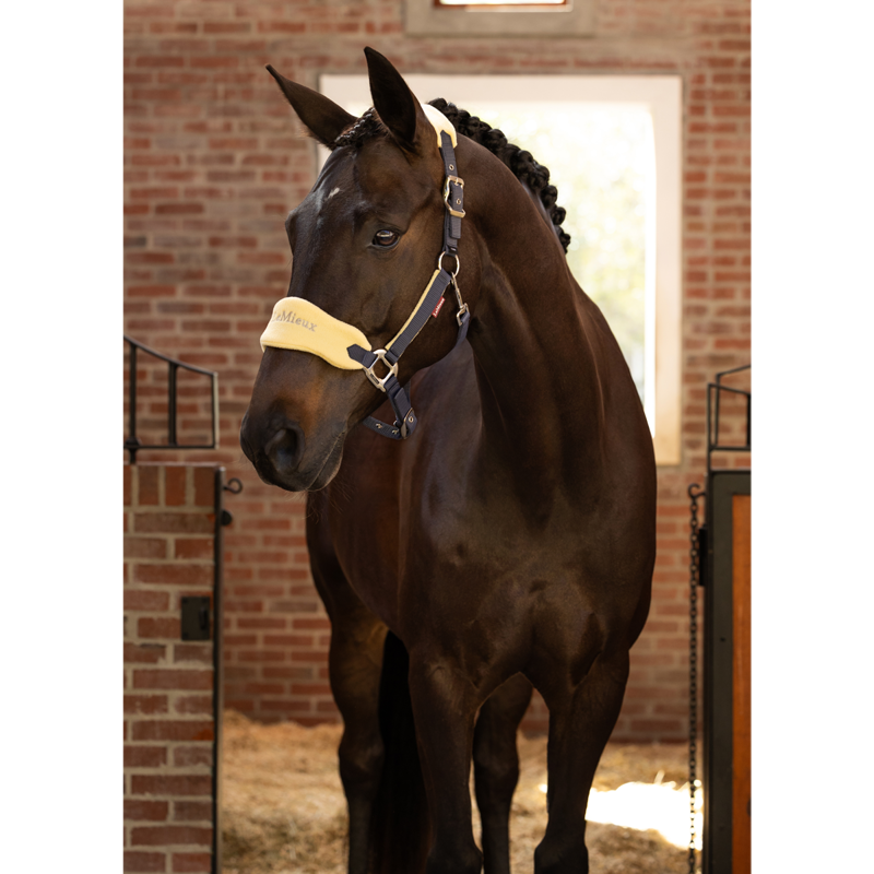 LeMieux Vogue Headcollar And Leadrope - Mimosa-1