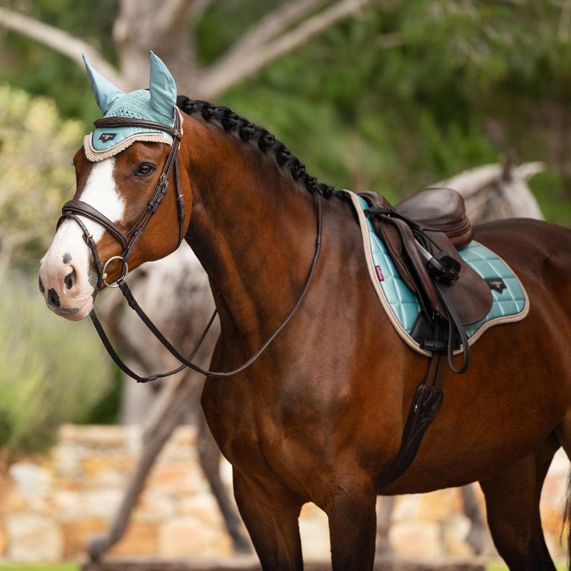 LeMieux Loire Classic GP Square - Aqua-3