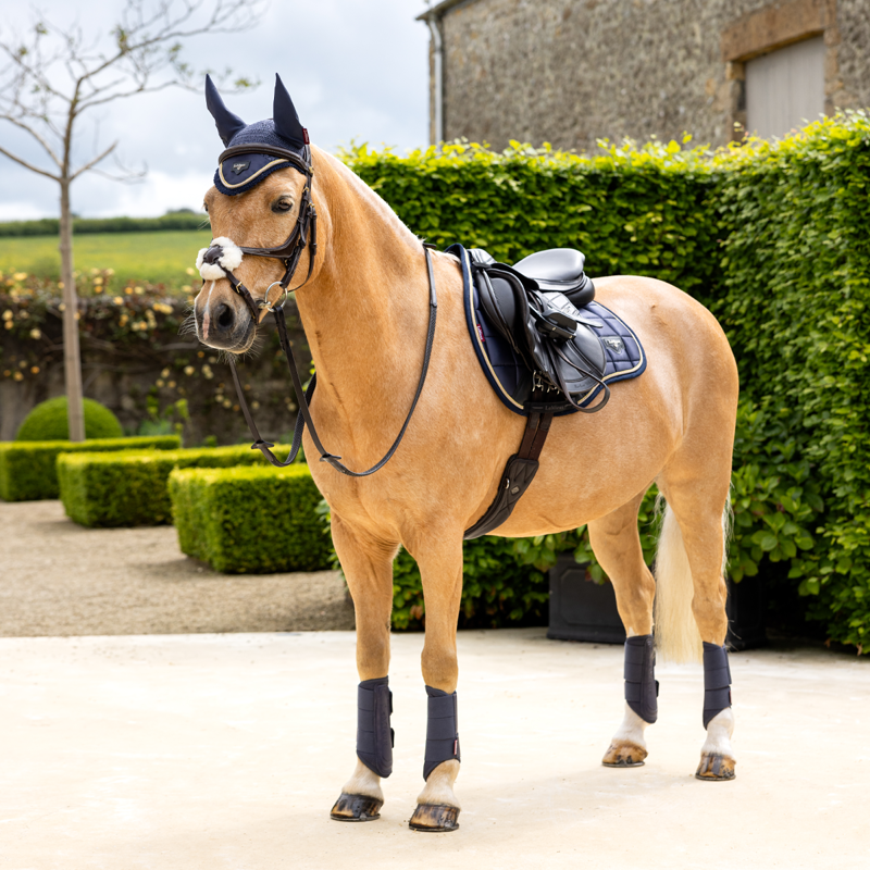 LeMieux Loire Classic GP Square - Dusk Blue-3