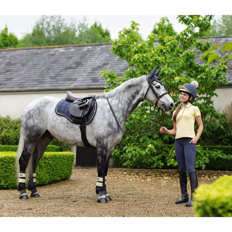 LeMieux Loire Classic GP Square - Dusk Blue-7