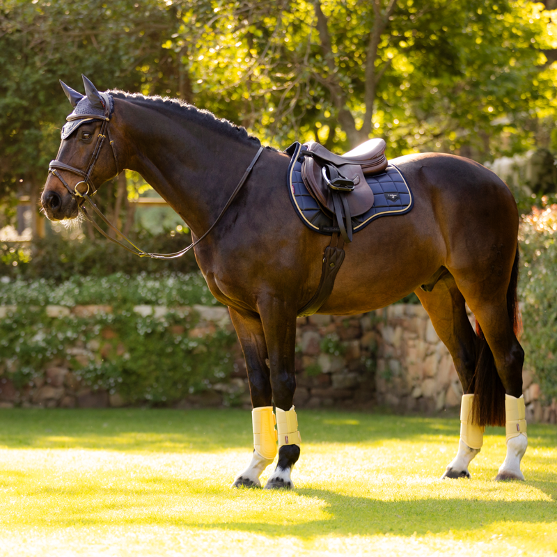 LeMieux Loire Classic GP Square - Dusk Blue-2
