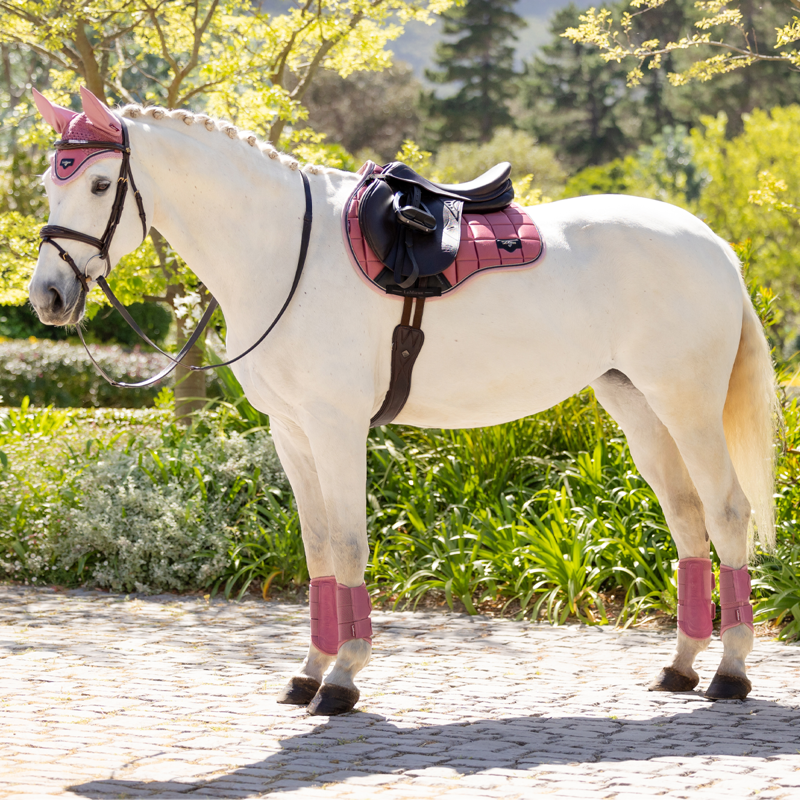 LeMieux Loire Classic GP Square - Peony-6