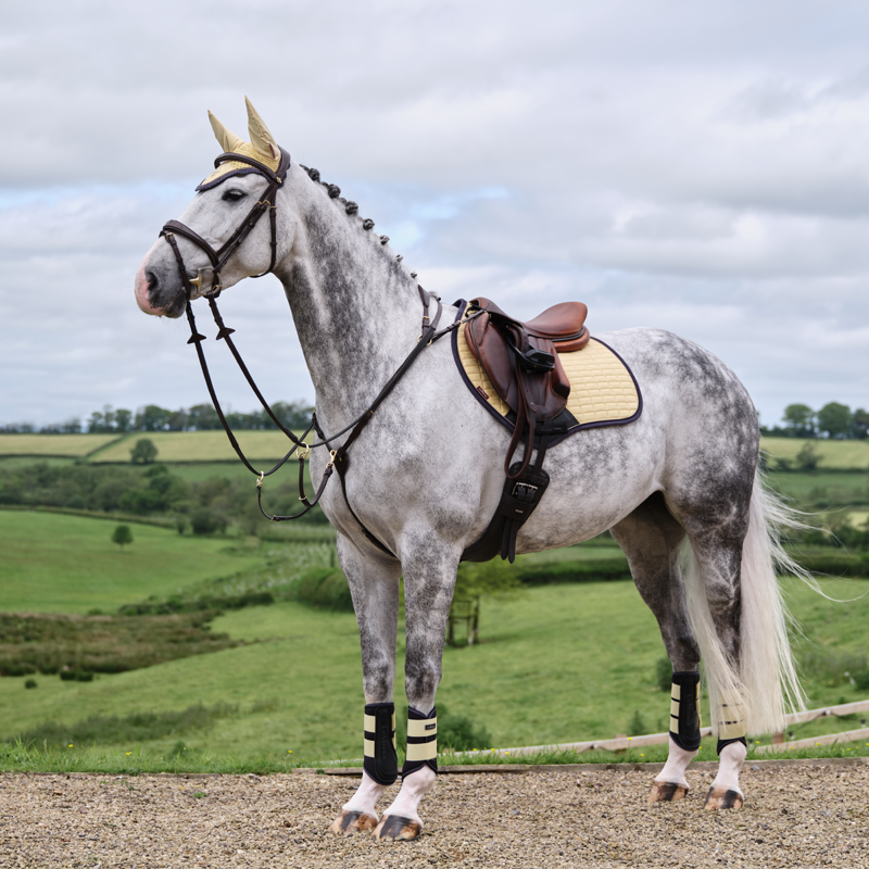 LeMieux Suede Close Contact Square - Mimosa-4