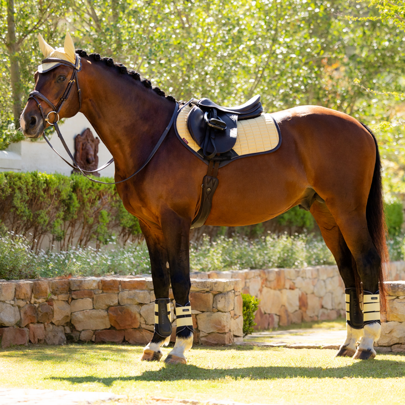 LeMieux Suede Close Contact Square - Mimosa-5