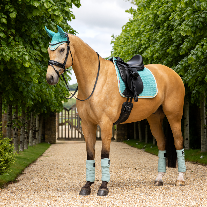 LeMieux Suede Dressage Square - Lagoon-3