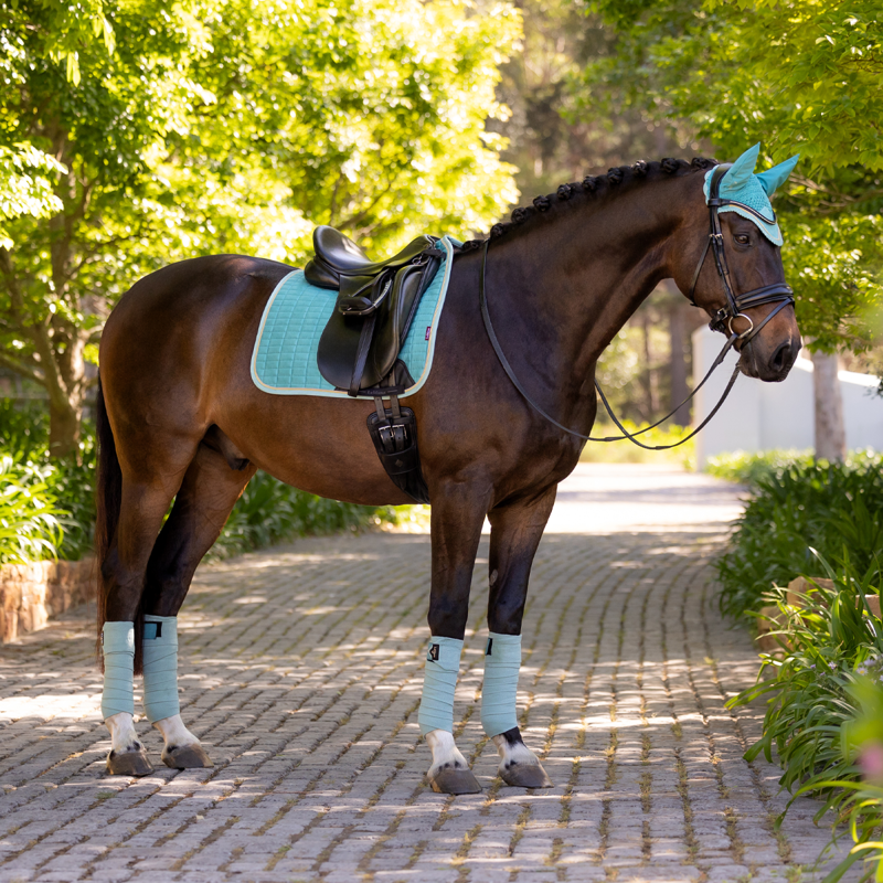 LeMieux Suede Dressage Square - Lagoon-4