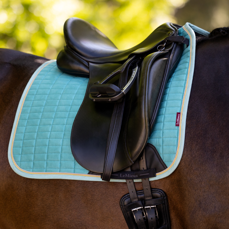 LeMieux Suede Dressage Square - Lagoon-1