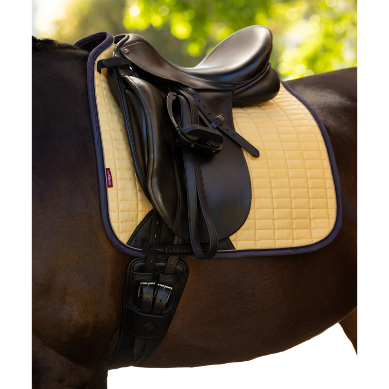 LeMieux Suede Dressage Square - Mimosa-1