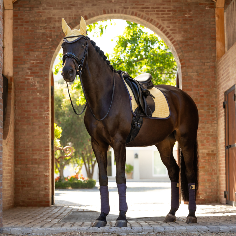 LeMieux Suede Dressage Square - Mimosa-2