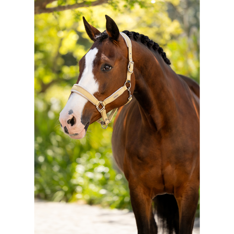 LeMieux Versailles Headcollar - Mimosa-2