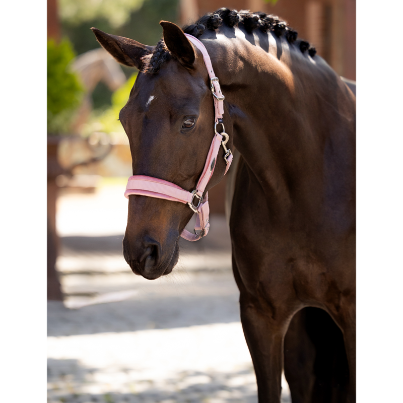 LeMieux Versailles Headcollar - Blossom-1