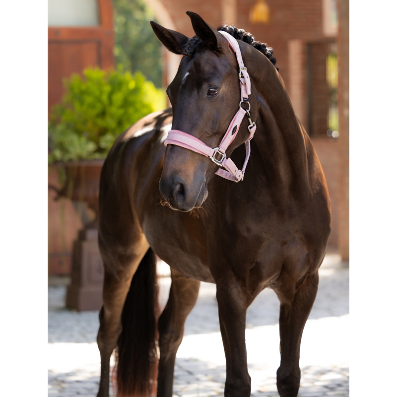 LeMieux Versailles Headcollar - Blossom-2