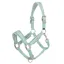 LeMieux Versailles Headcollar - Aqua