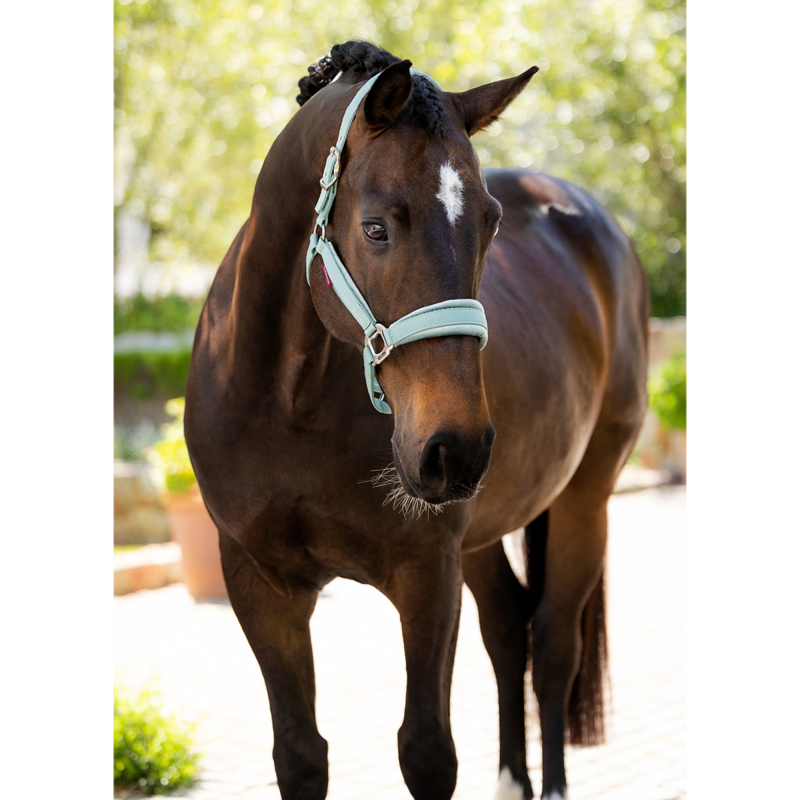 LeMieux Versailles Headcollar - Aqua-2