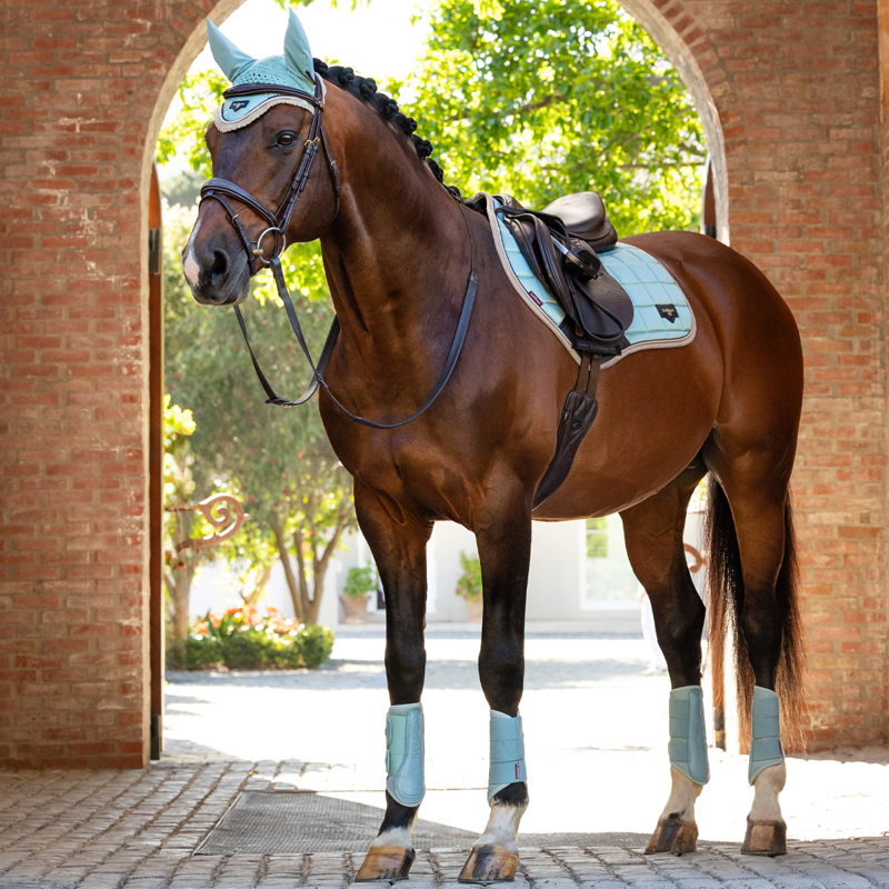 LeMieux Loire Classic Close Contact Square - Aqua-3