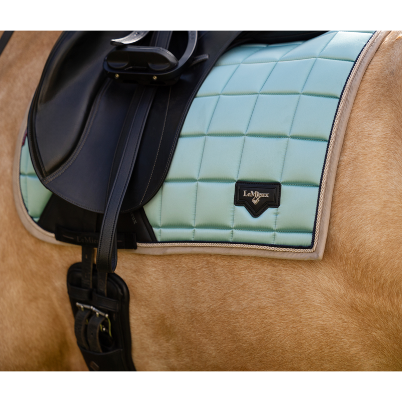 LeMieux Loire Classic Dressage Square - Aqua-3