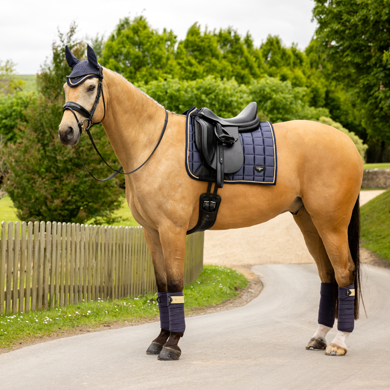 LeMieux Loire Classic Dressage Square  - Dusk Blue-3