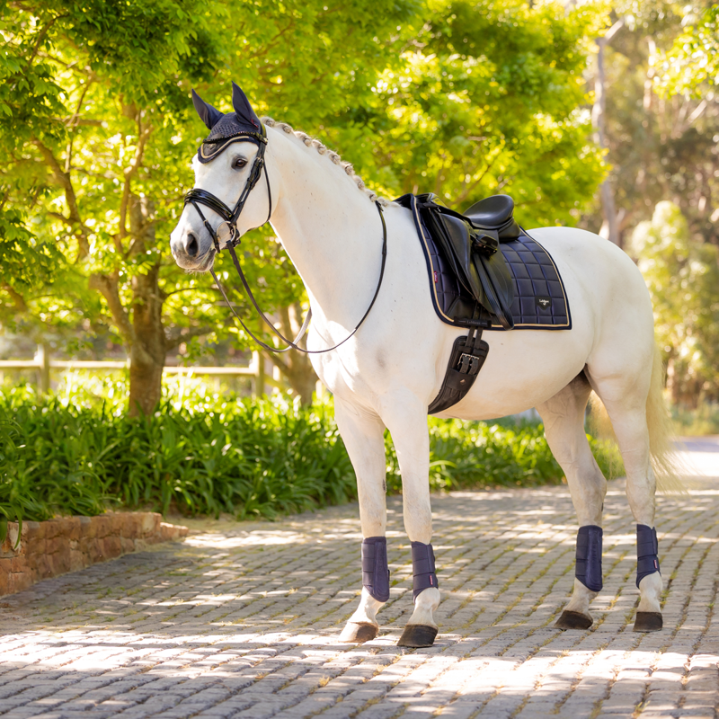 LeMieux Loire Classic Dressage Square  - Dusk Blue-4