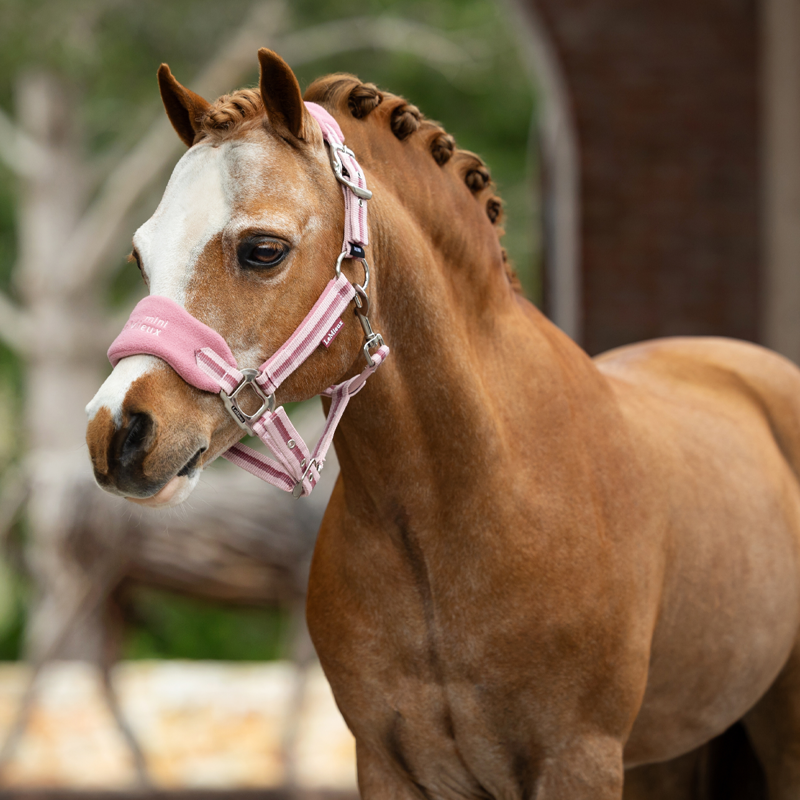LeMieux Mini Vogue Headcollar And Leadrope - Peony-2