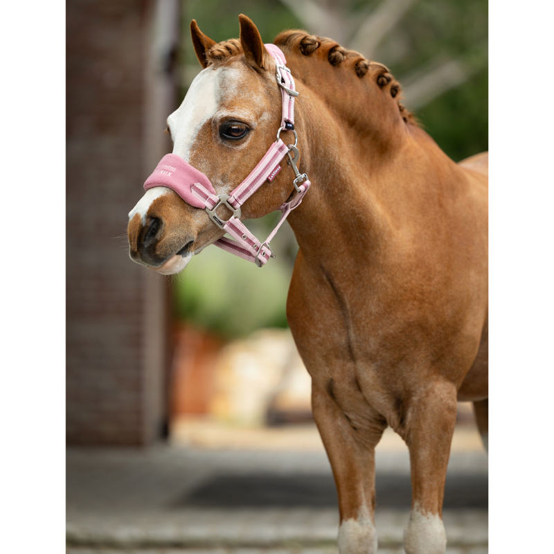 LeMieux Mini Vogue Headcollar And Leadrope - Peony-4