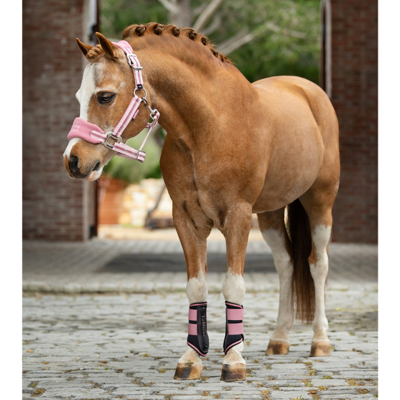 LeMieux Mini Vogue Headcollar And Leadrope - Peony-5