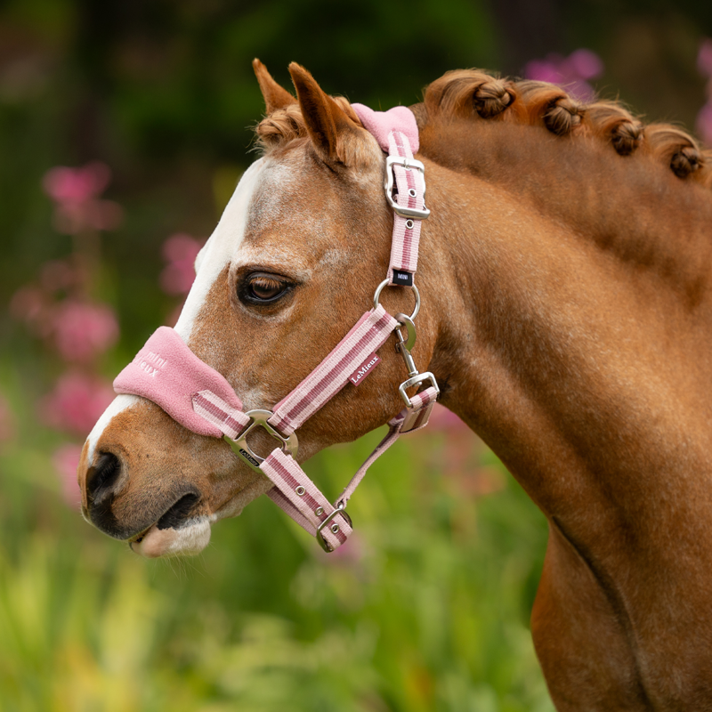 LeMieux Mini Vogue Headcollar And Leadrope - Peony-1
