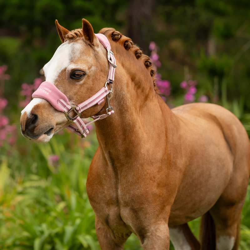 LeMieux Mini Vogue Headcollar And Leadrope - Peony-3