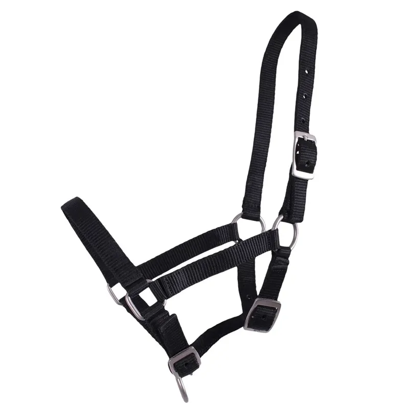 QHP Foal Headcollar - Black