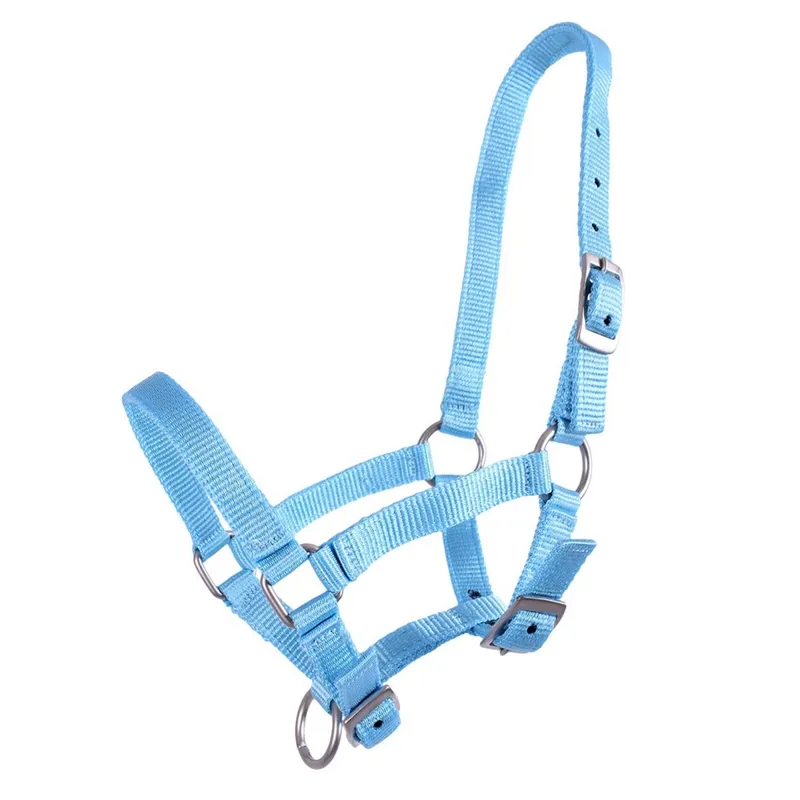 QHP Foal Headcollar - Light Blue
