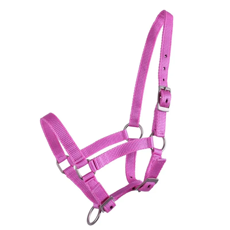 QHP Foal Headcollar - Pink