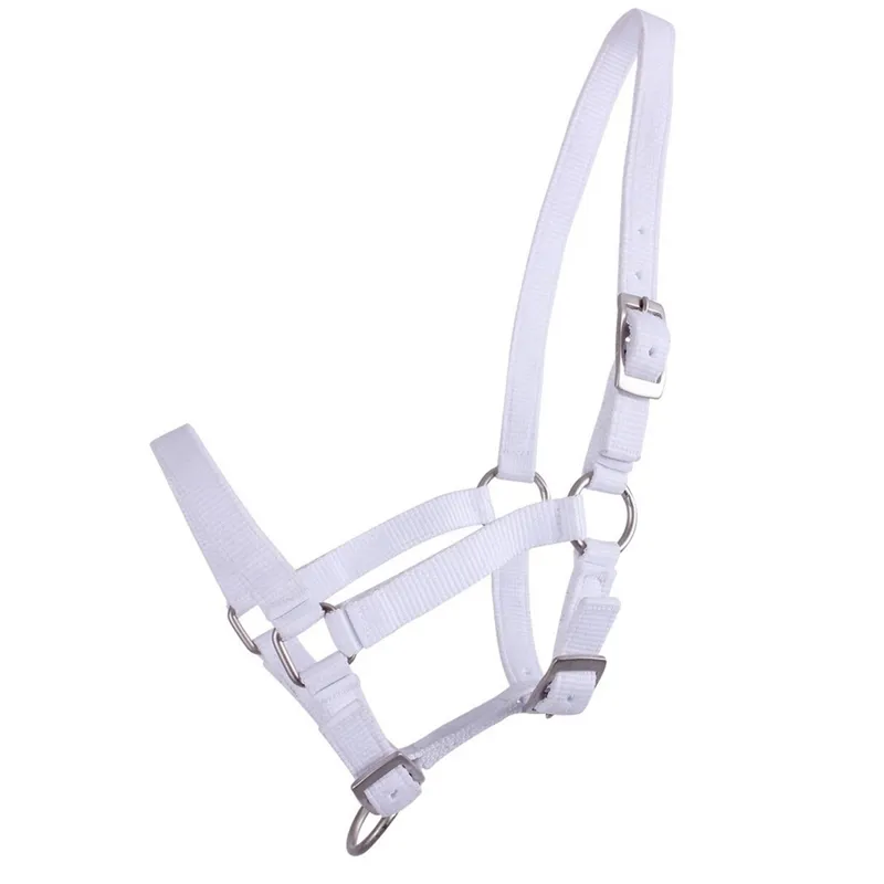 QHP Foal Headcollar - White