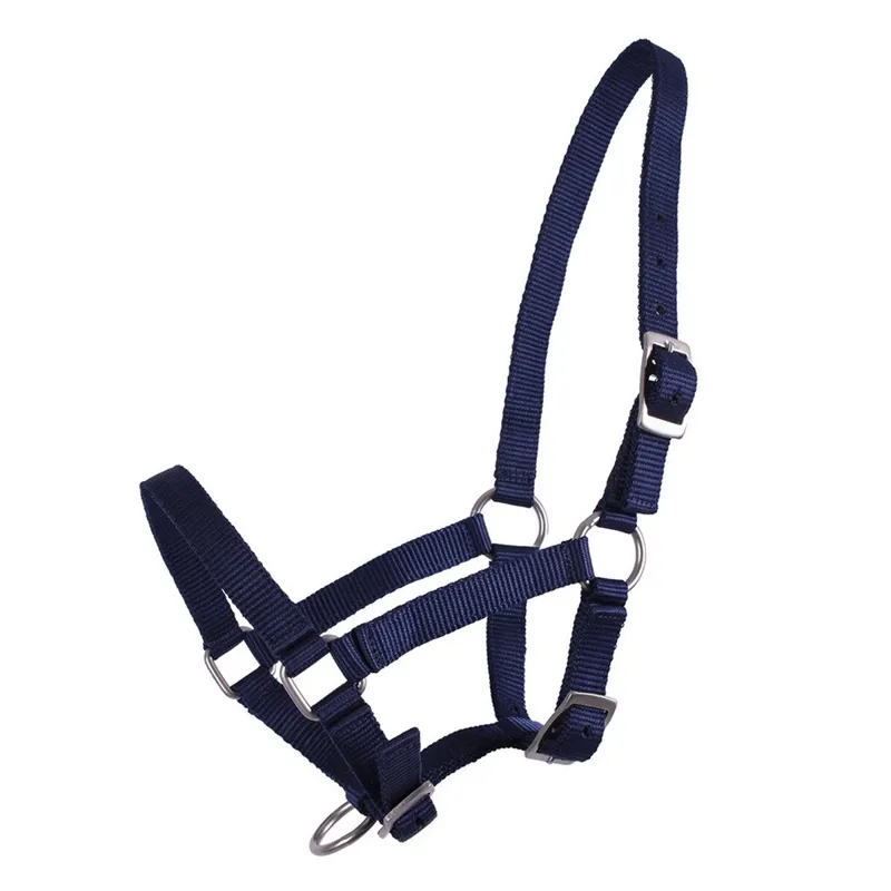 QHP Foal Headcollar - Navy