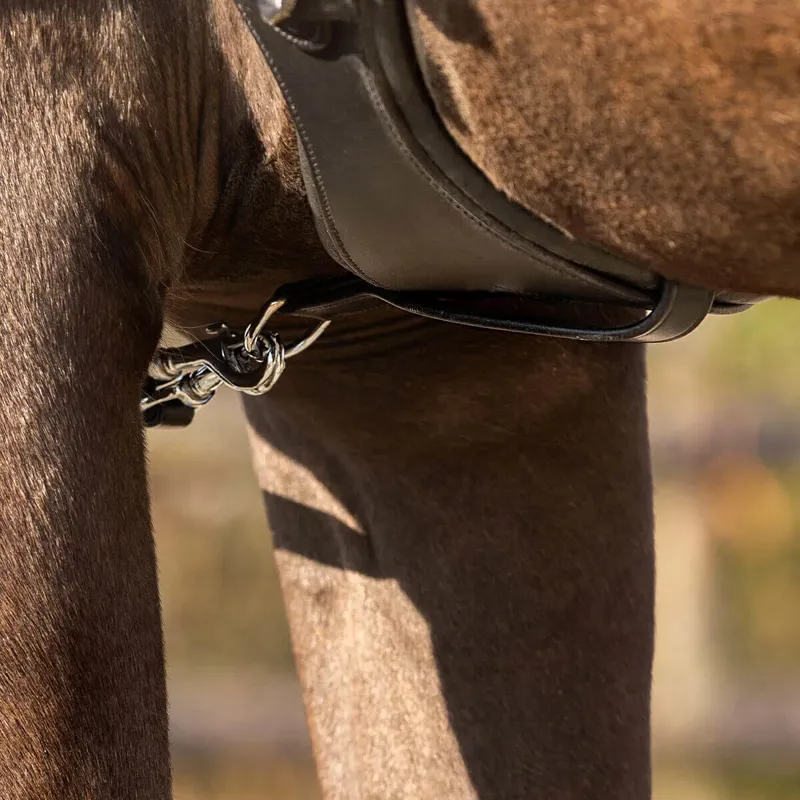 QHP Girth Loop - Black-1