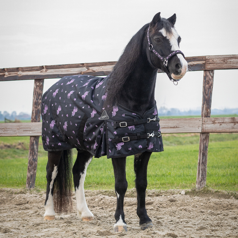 QHP Lize 100g Turnout Rug - Black/Violet-2
