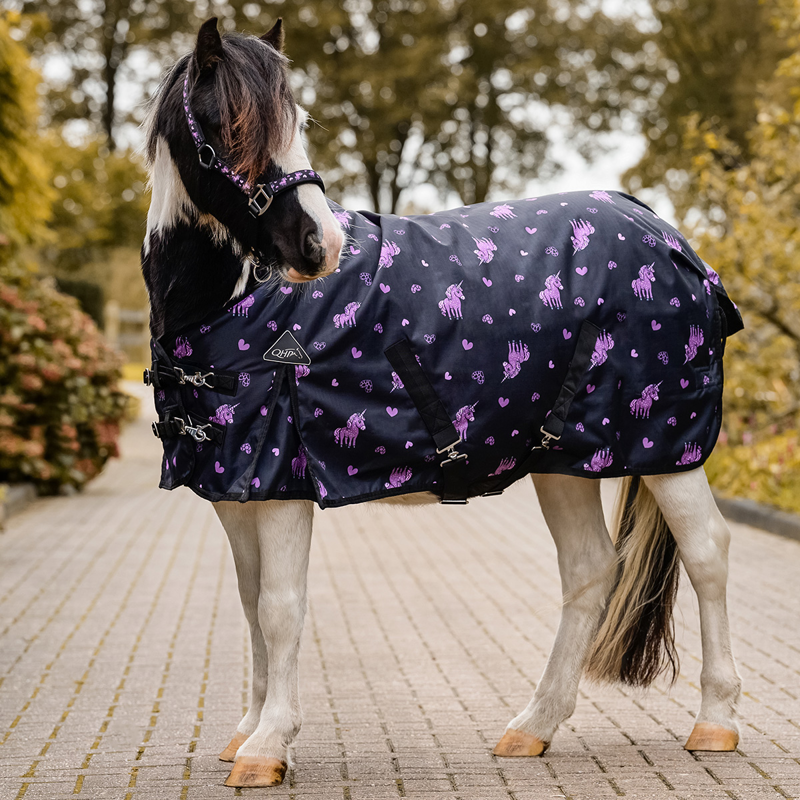 QHP Lize 100g Turnout Rug - Black/Violet