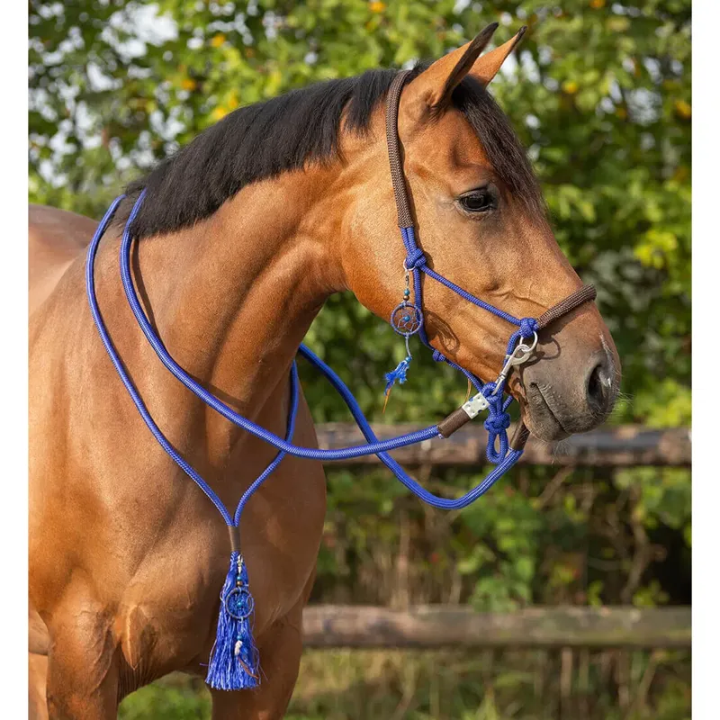 QHP Rope Halter Combi Liberty - Cobalt Blue-1