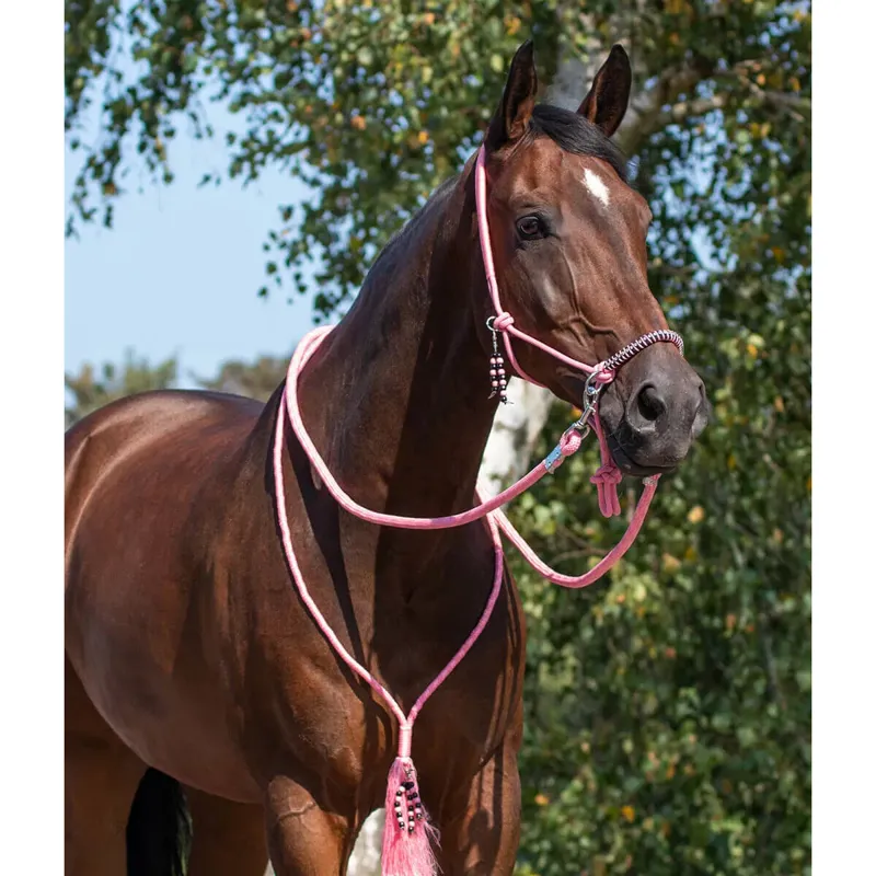 QHP Rope Halter Combi Liberty - Flamingo Pink-1