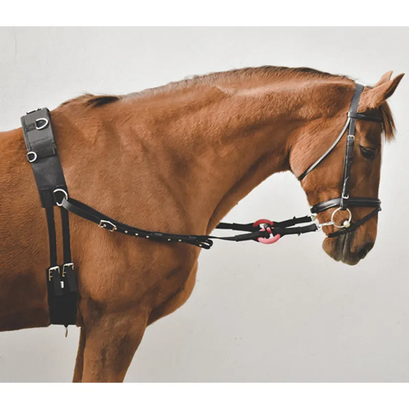 Equisential Nylon Side Reins - Black