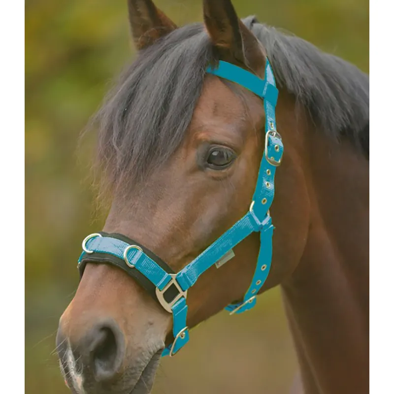 Waldhausen Economic Lunging Halter - Azure Blue