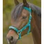 Waldhausen Economic Lunging Halter - Azure Blue