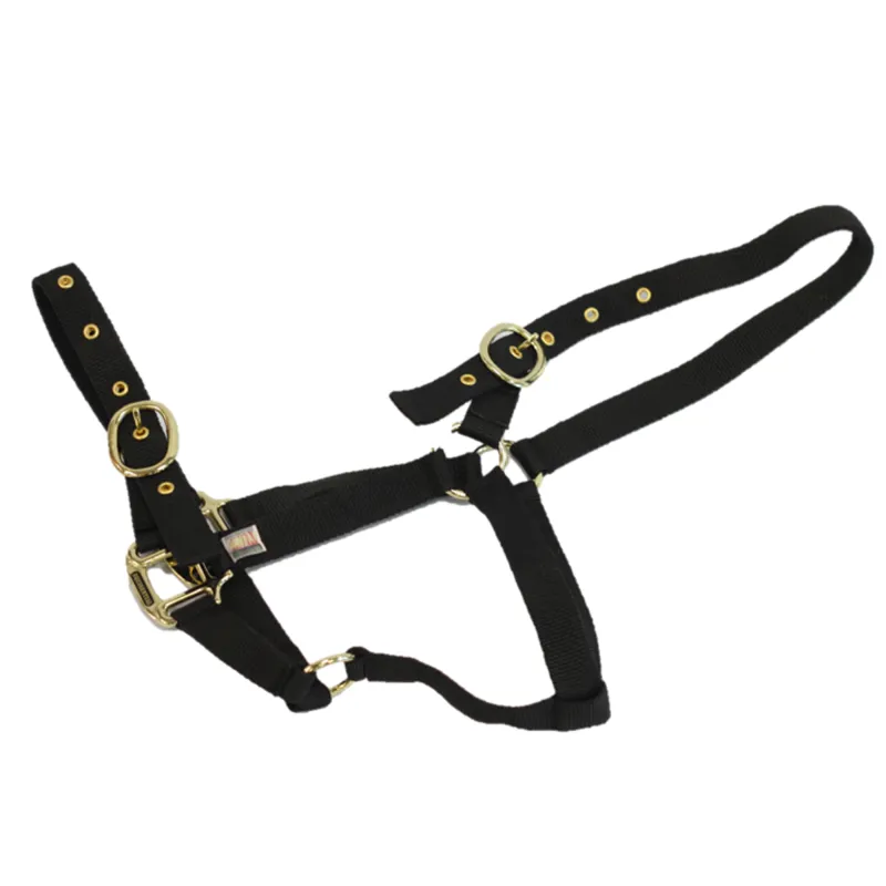 Equisential Nylon Headcollar - Black-2