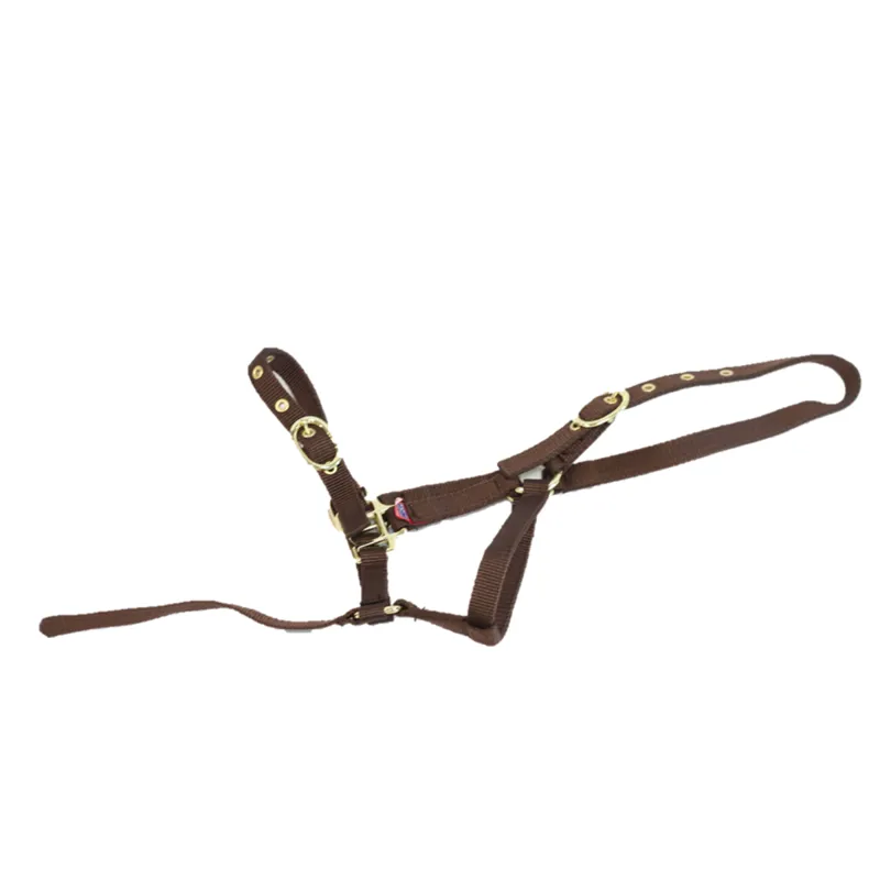 Equisential Nylon Headcollar - Brown-2