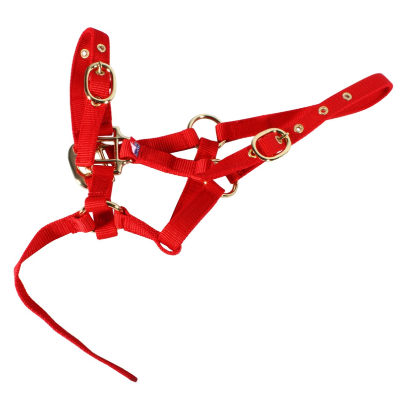 Equisential Nylon Headcollar - Red-3