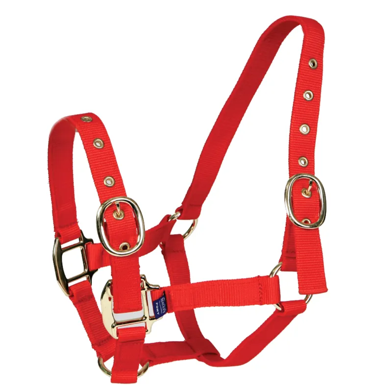 Equisential Nylon Headcollar - Red-2