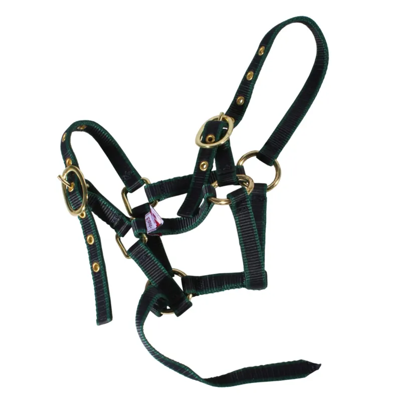 Equisential Nylon Headcollar - Green-3