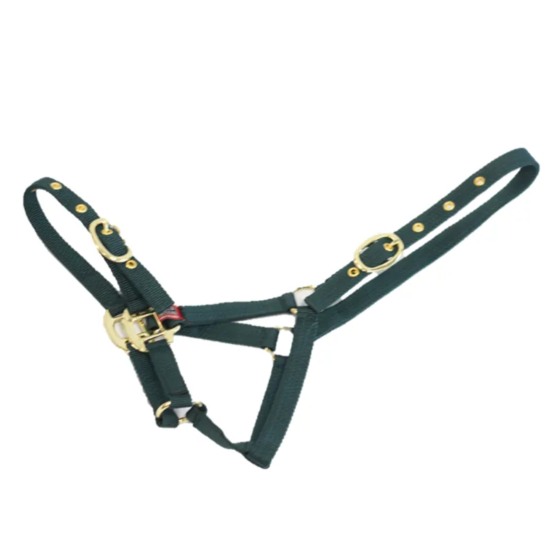 Equisential Nylon Headcollar - Green-2