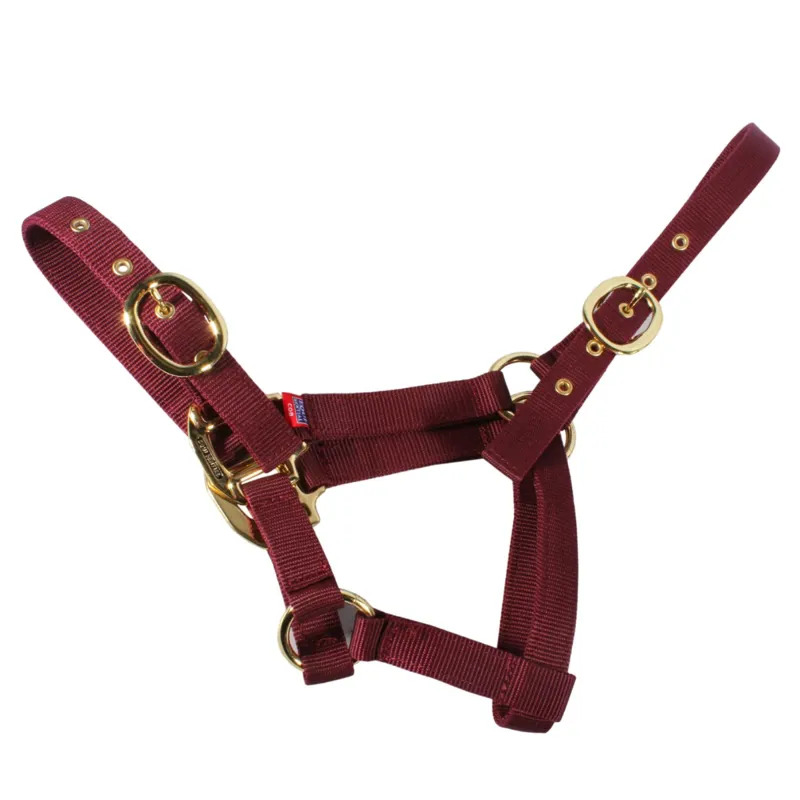 Equisential Nylon Headcollar - Burgundy-3