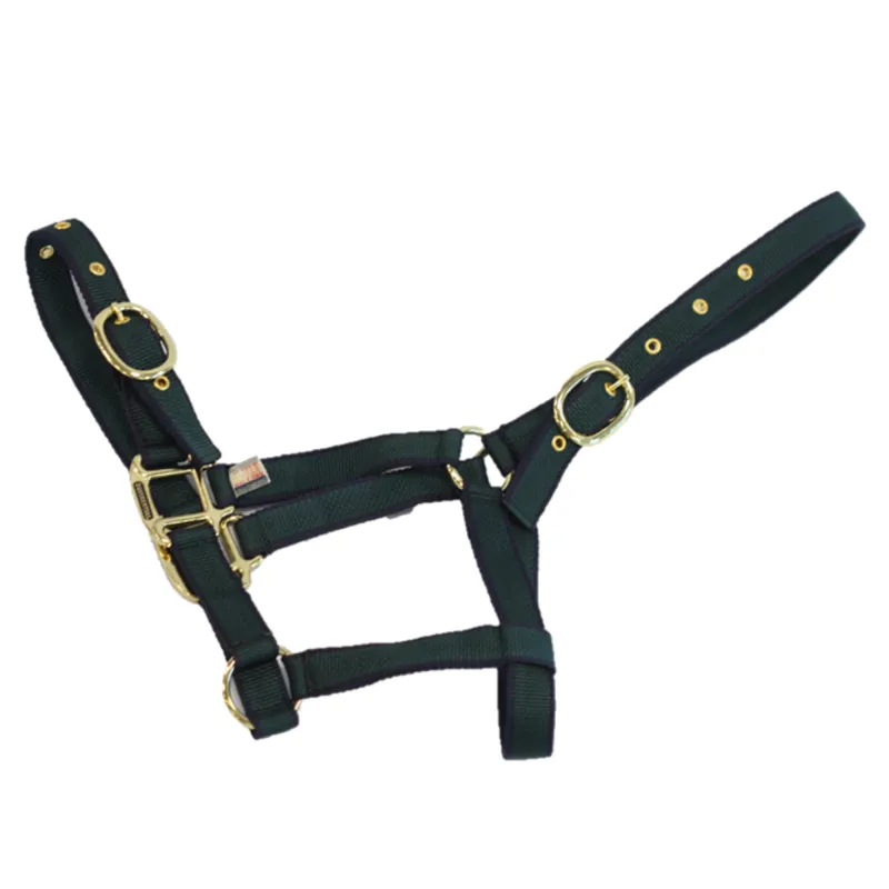 Equisential Nylon Headcollar - Navy/Green-2