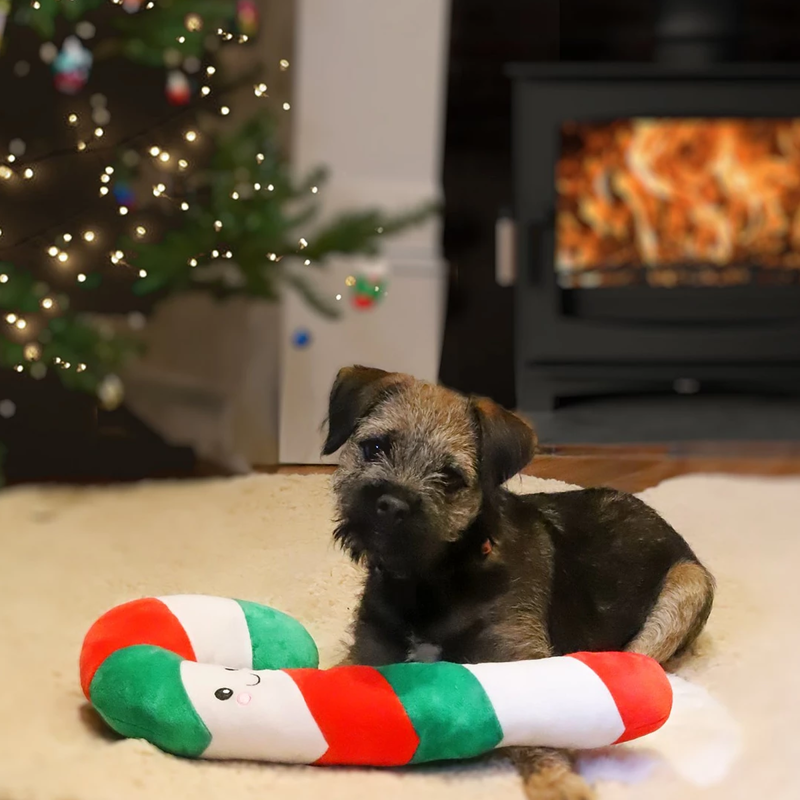 Rosewood Carrie Candy Cane Dog Toy-1