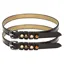 Imperial Riding Pardouz Spurstraps - Brown/Gold